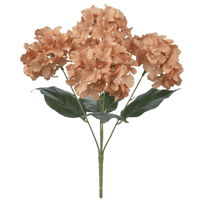 Buque Hortensia Ocre Claro 50cm