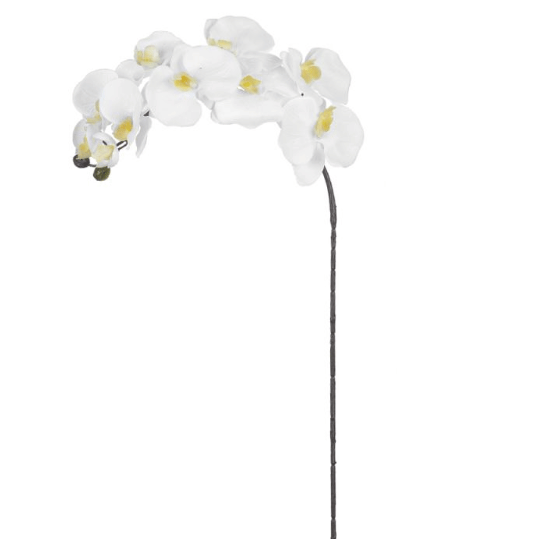 Haste Orquidea Phalaenopsis Branca 93cm