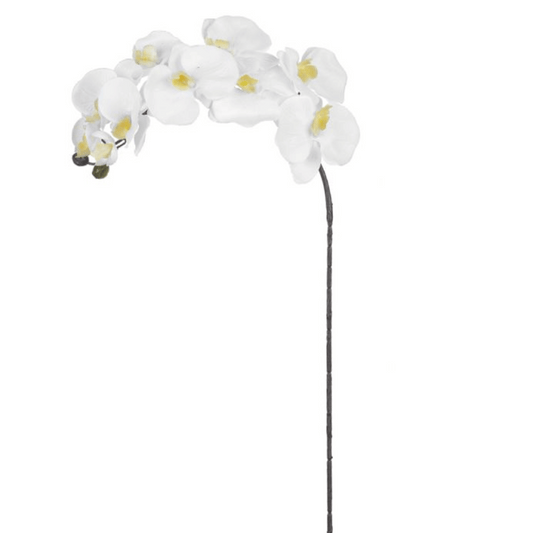 Haste Orquidea Phalaenopsis Branca 93cm