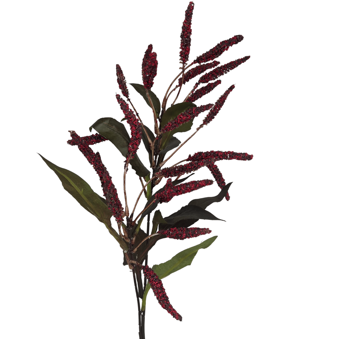 Haste amaranthus vermelho