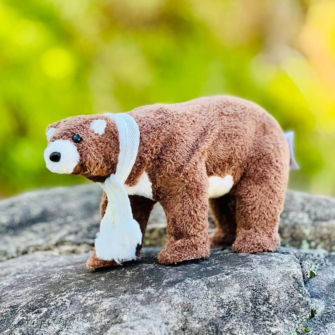 Bebê Urso  - 39cm