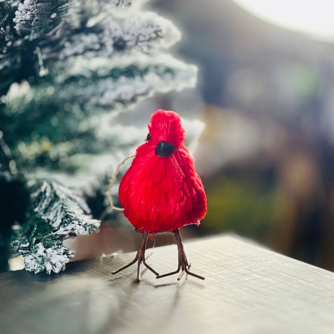 Pássaro Vermelho de Natal - 14cm