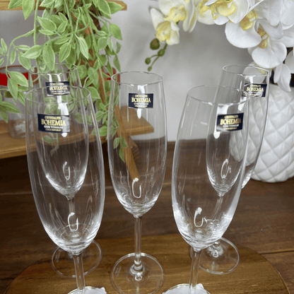 Conjunto 6 Taças Cristal Ecologico para Champagne Gastro Colibri 220ml