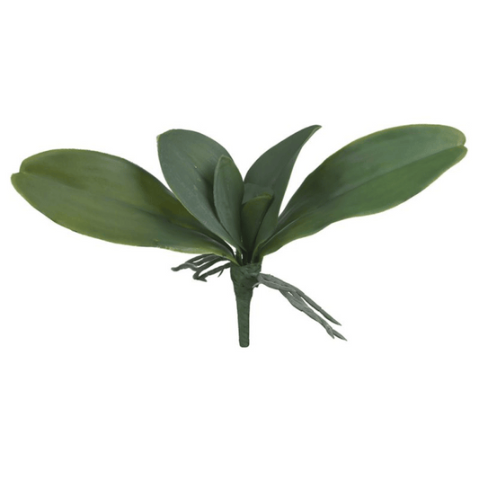 Flor Folha Orquidea Real Toque Com Raiz Verde 25cm