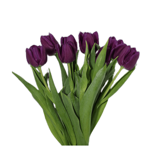 Ramalhete Tulipa Purpura Toque Real 37cm